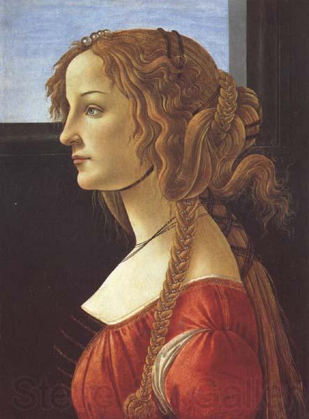 Sandro Botticelli Porfile of a Young Woman (mk45) Germany oil painting art